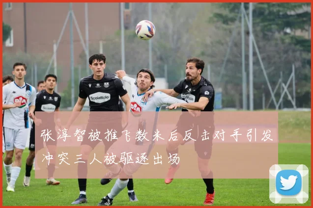 张淳智被推飞数米后反击对手引发冲突三人被驱逐出场